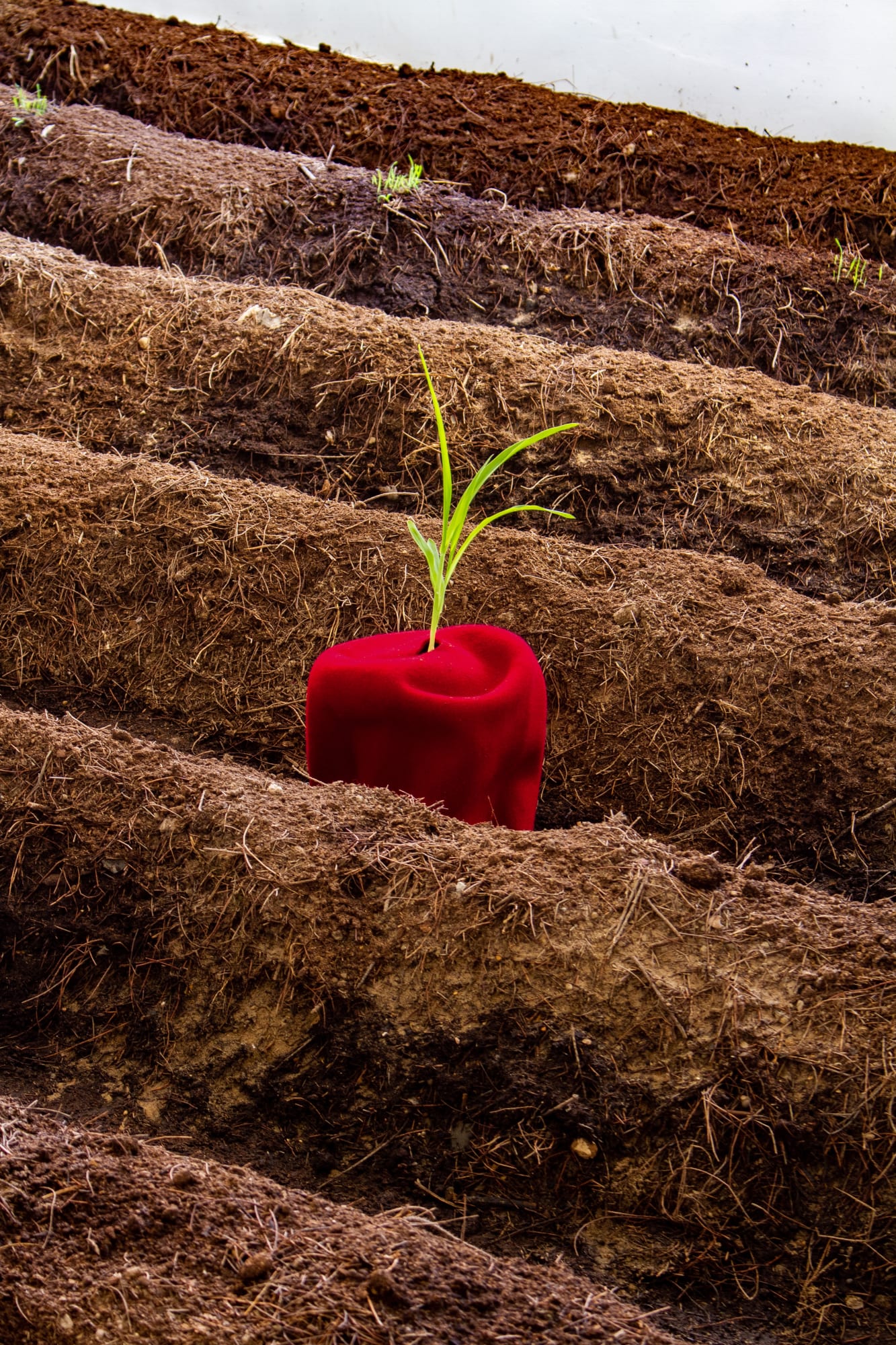 Toolu Xeer (Le champs de pierre)