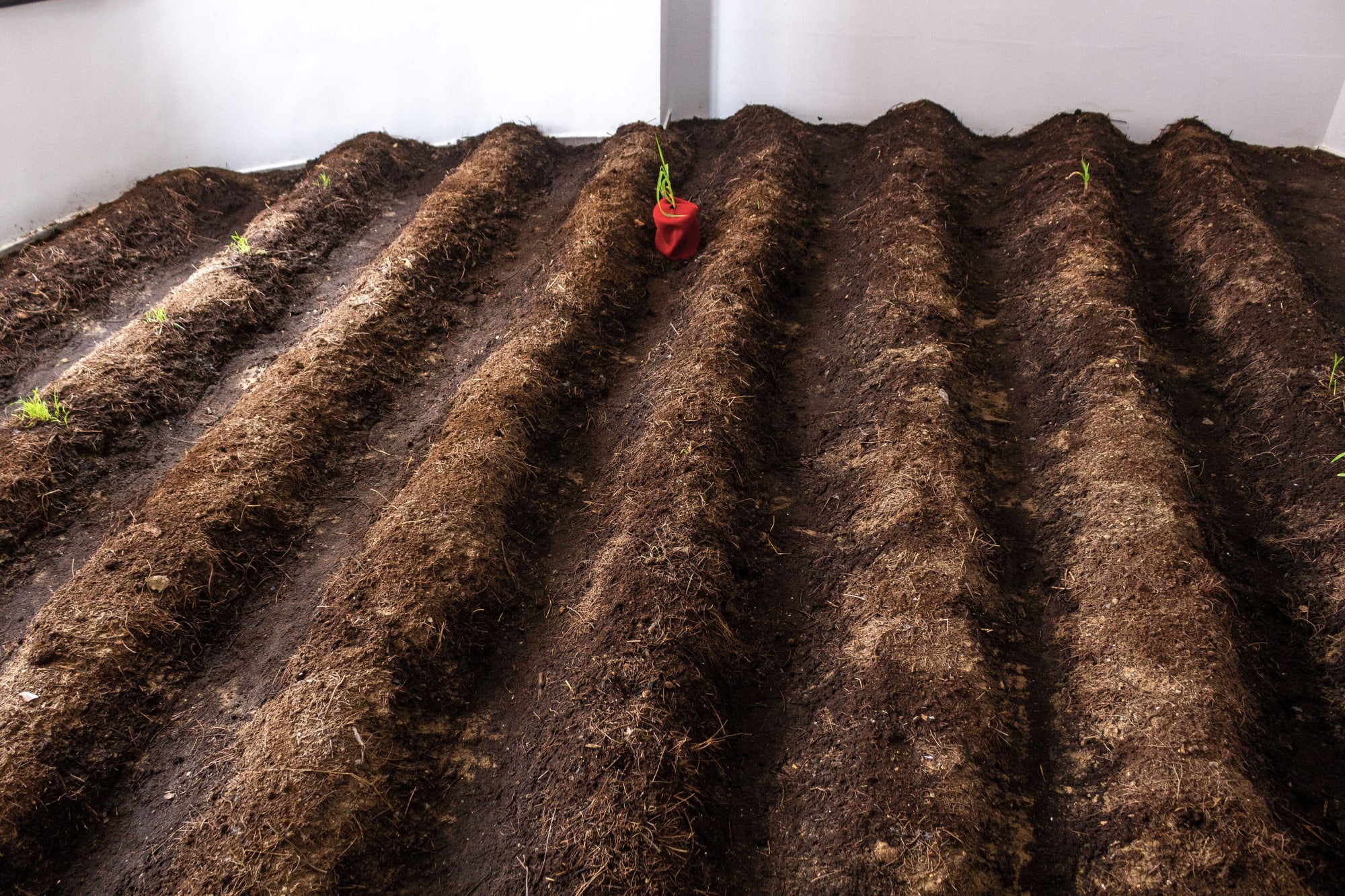 Toolu Xeer (Le champs de pierre)