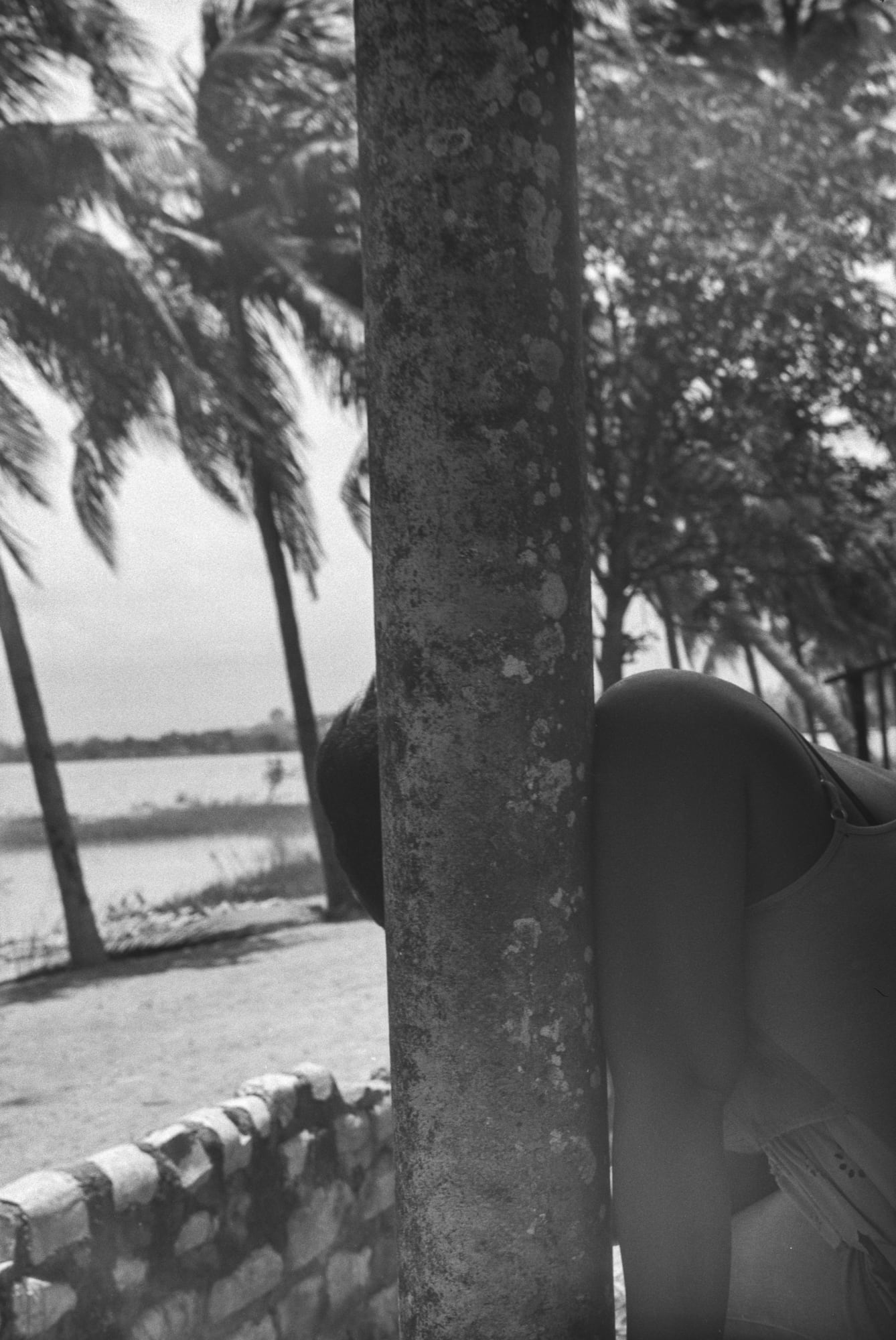 Territoire des perceptions, Sérénade des formes