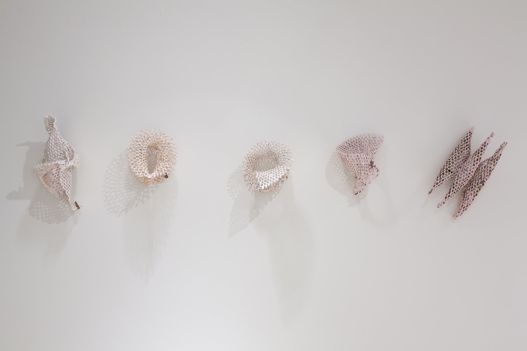 Kelly Sheppard Murray After the Flourish (5 Pink Curiosities), 2017-2019 Encaustic, wire & wire mesh size variable