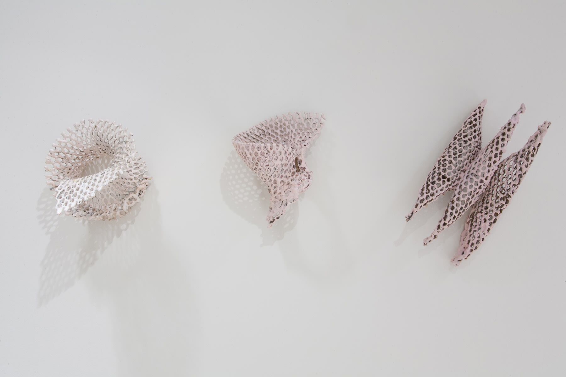 Kelly Sheppard Murray After the Flourish (5 Pink Curiosities), 2017-2019 Encaustic, wire & wire mesh size variable