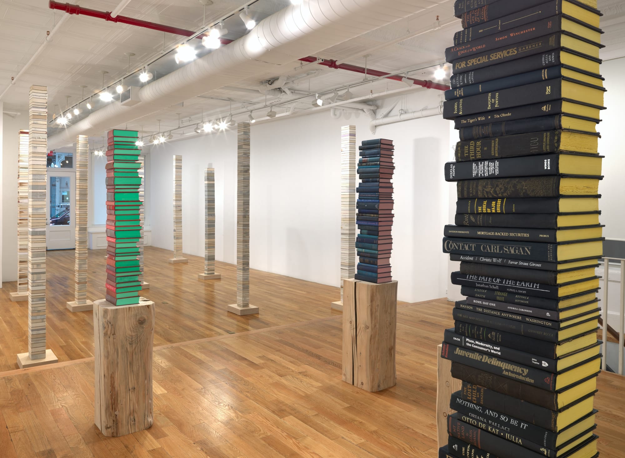 Photos by Dan Bradica