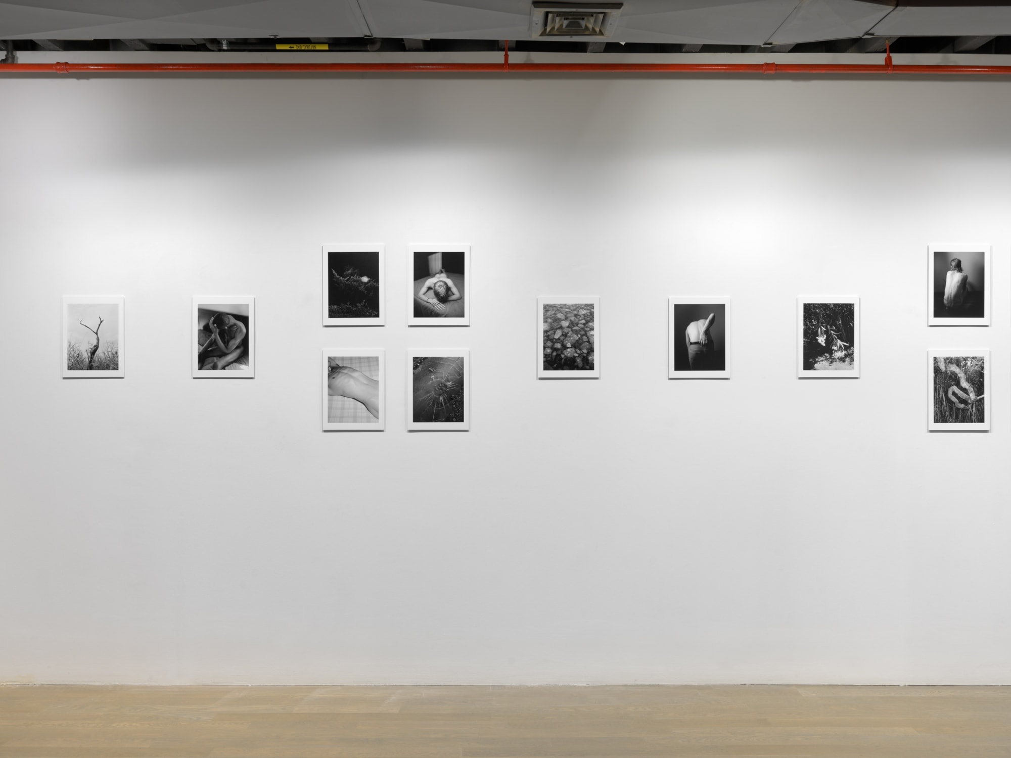 PROJECTION 001: DANIEL RAMPULLA "WILD PLACE"