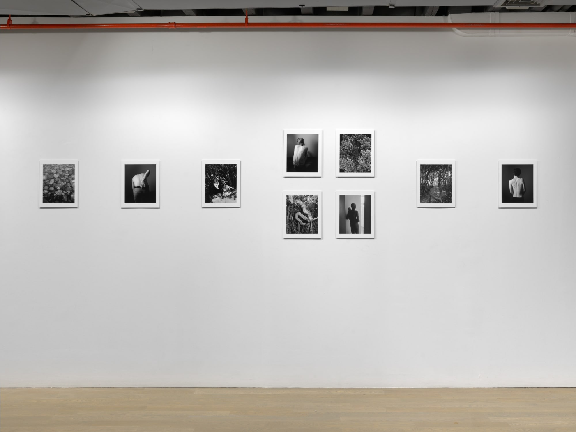 PROJECTION 001: DANIEL RAMPULLA "WILD PLACE"