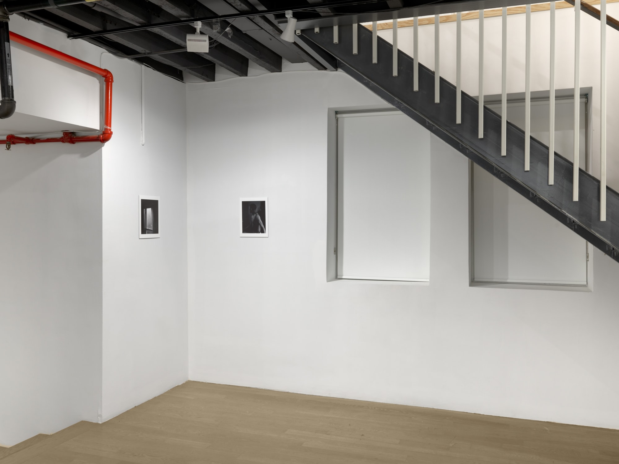 PROJECTION 001: DANIEL RAMPULLA "WILD PLACE"