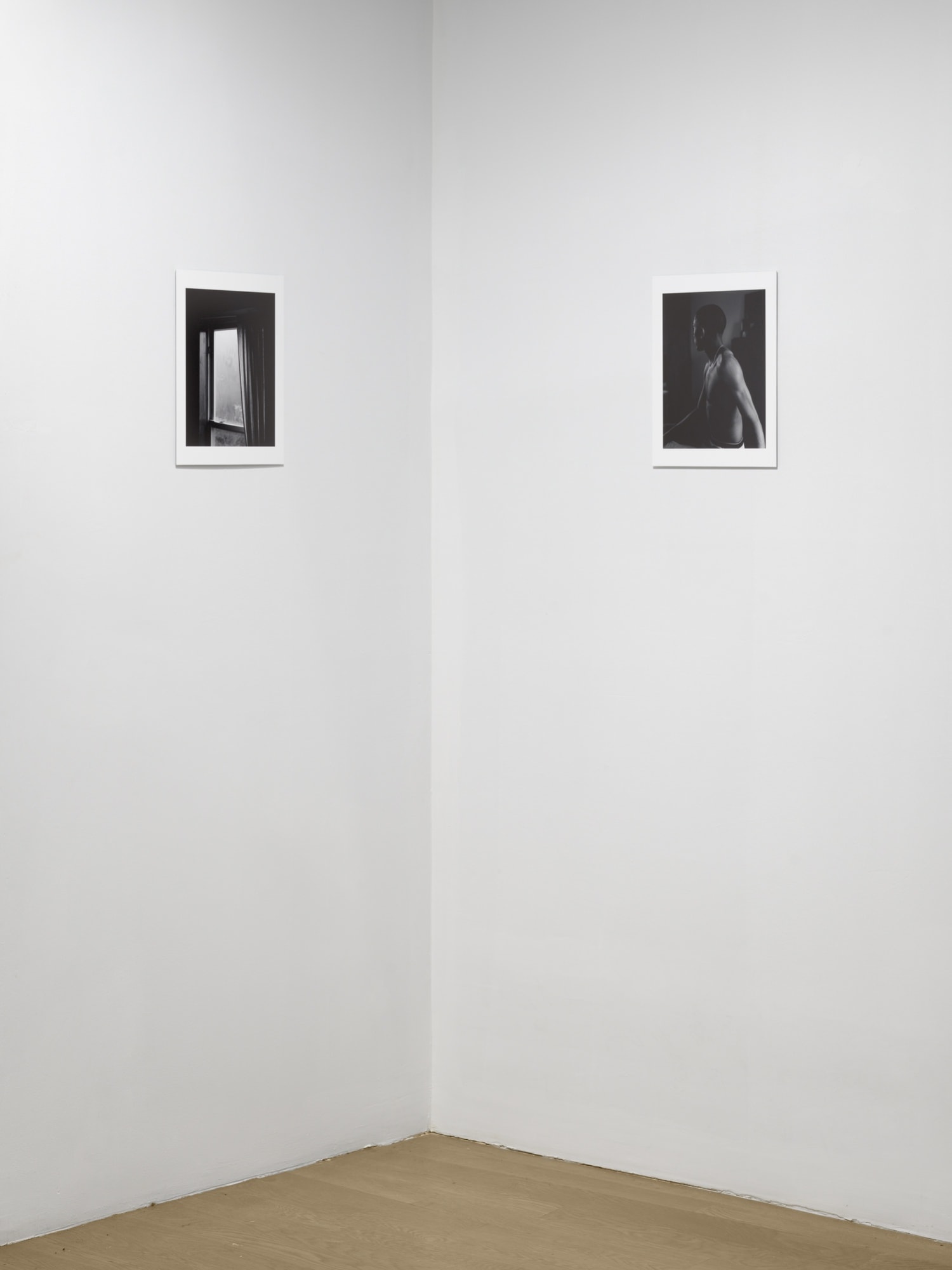 PROJECTION 001: DANIEL RAMPULLA "WILD PLACE"