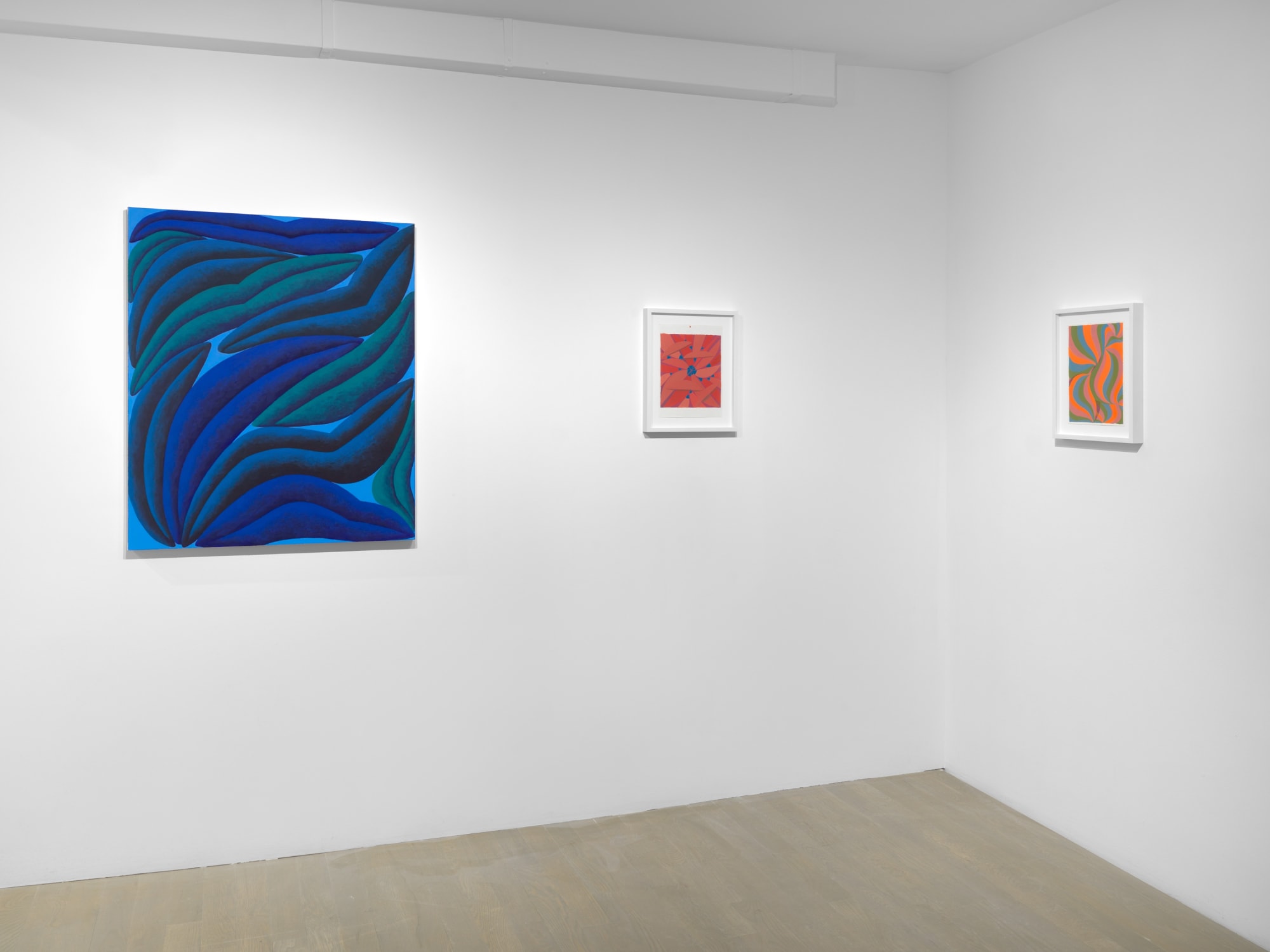 PROJECTION 003: CORYDON COWANSAGE