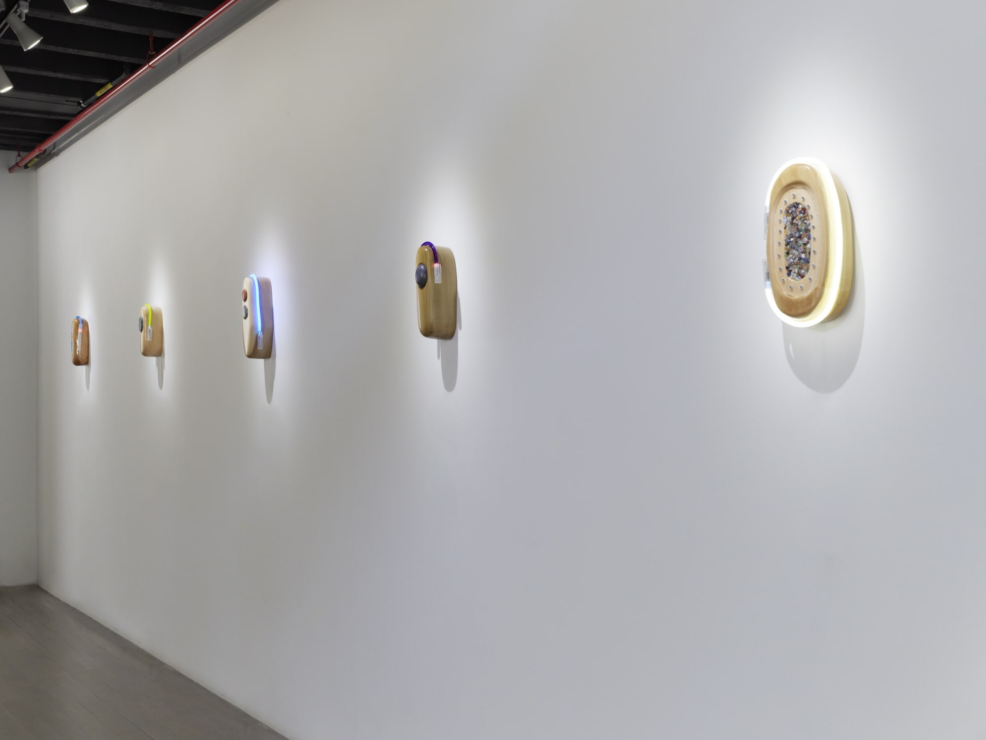 PROJECTION 007: ESTHER RUIZ, Partial Light Index