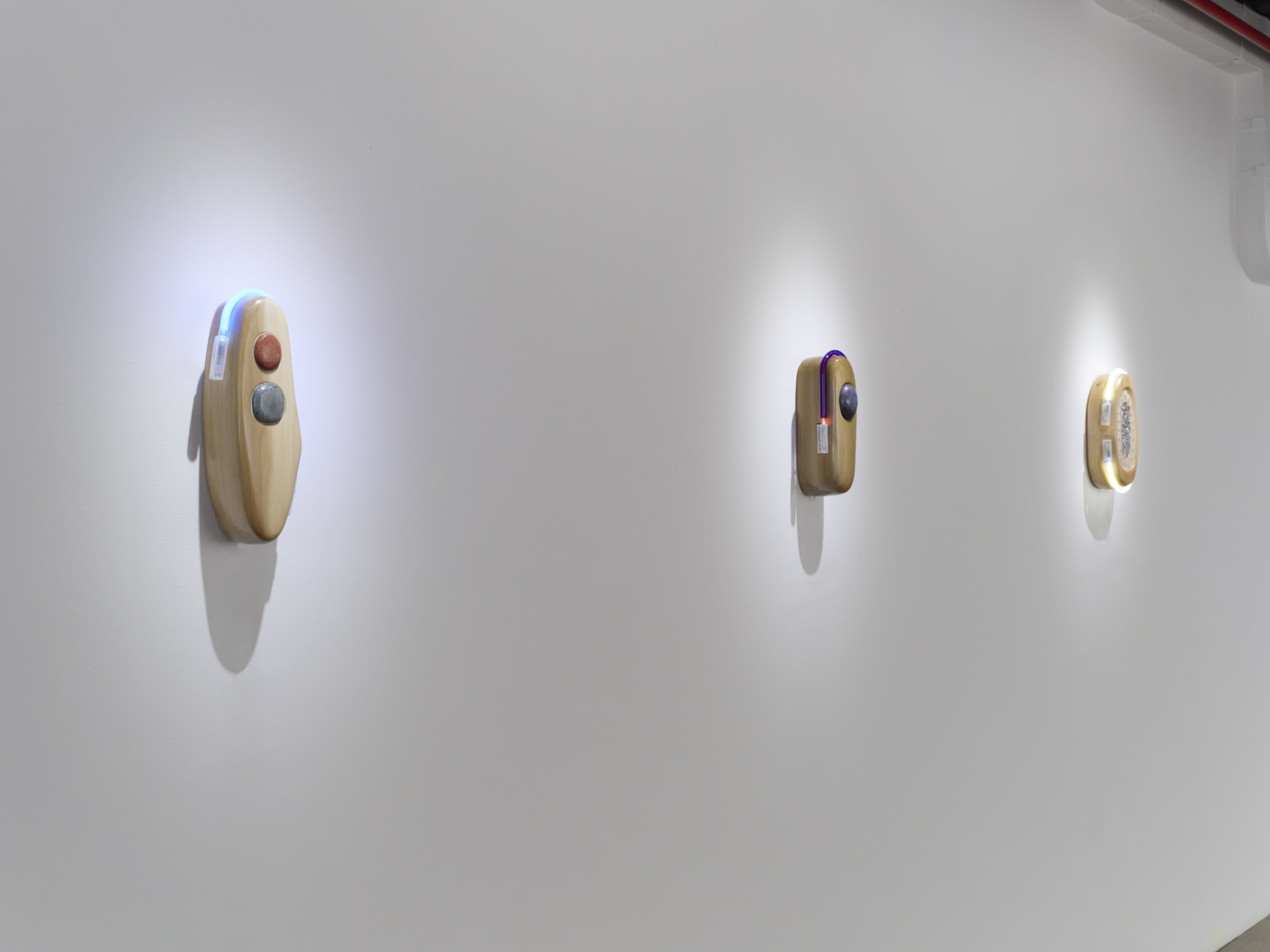 PROJECTION 007: ESTHER RUIZ, Partial Light Index