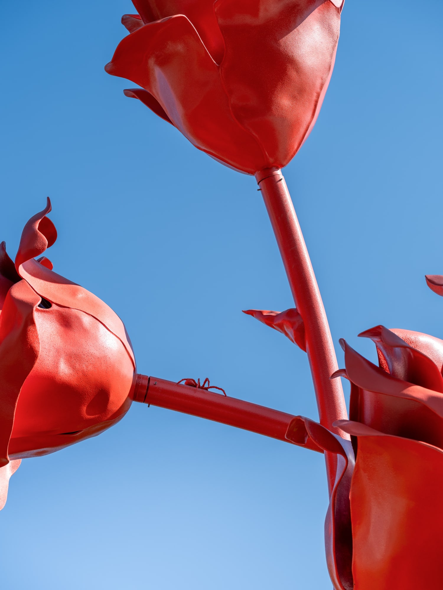 Will Ryman: Shanghai 6