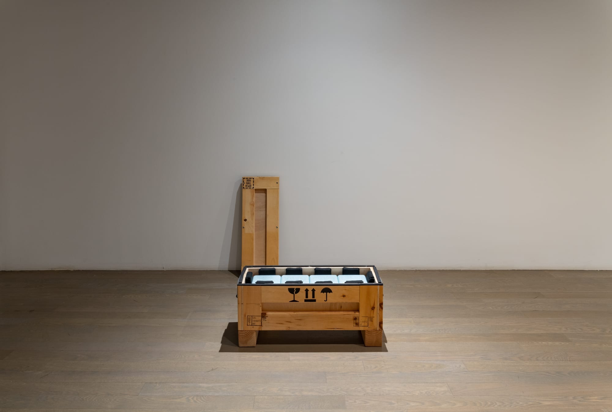 PROJECTION 010 | The Estate of Joshua Caleb Weibley: Game Transfer Phenomena