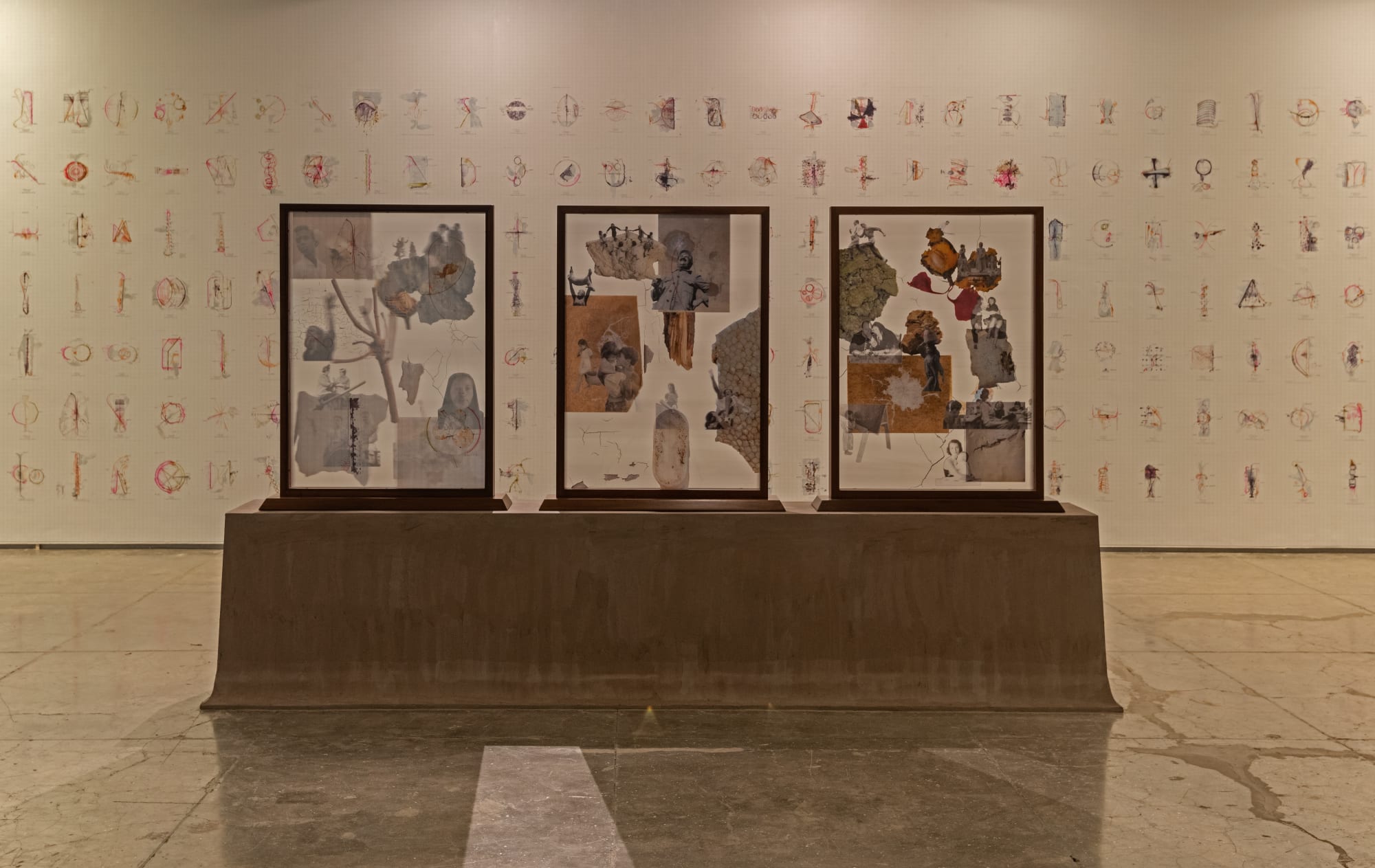 Jitish Kallat, Otherwhile, install view