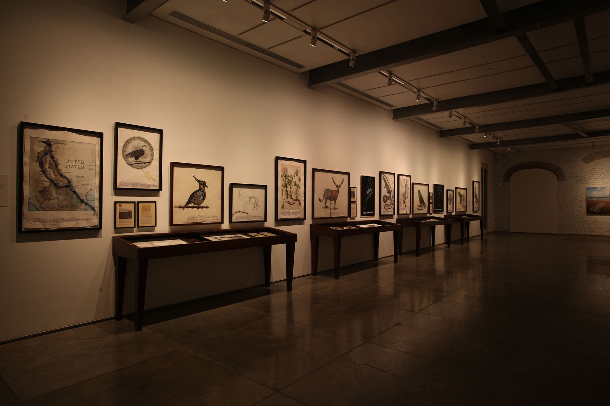 Reena Saini Kallat Hyphenated Lives , display view, 2015