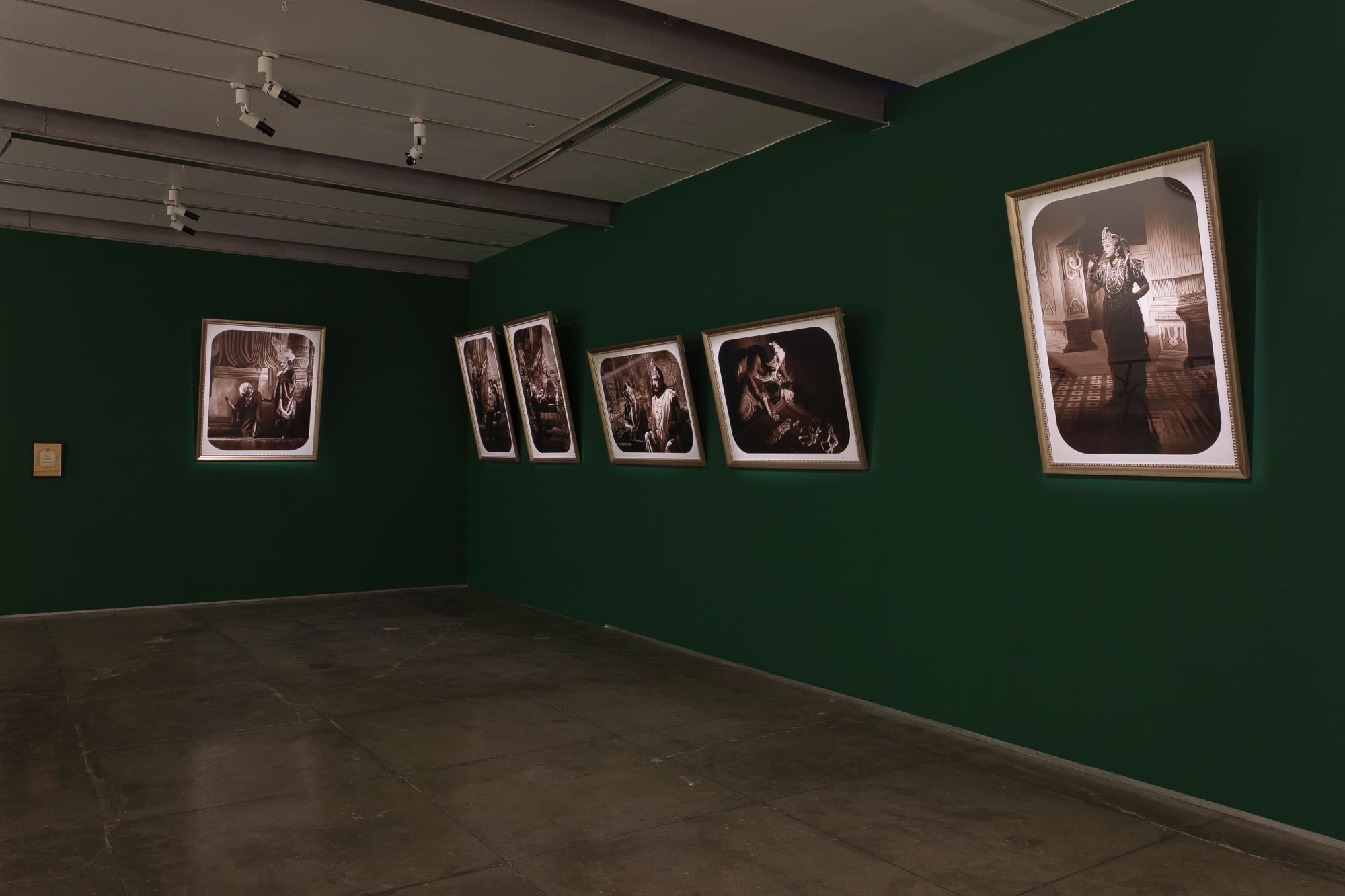 Pushpamala N Avega the Passion, display view, 2012