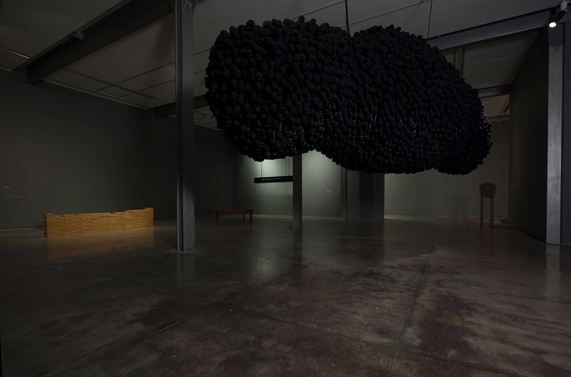 Shilpa Gupta Someone Else, display view, 2012