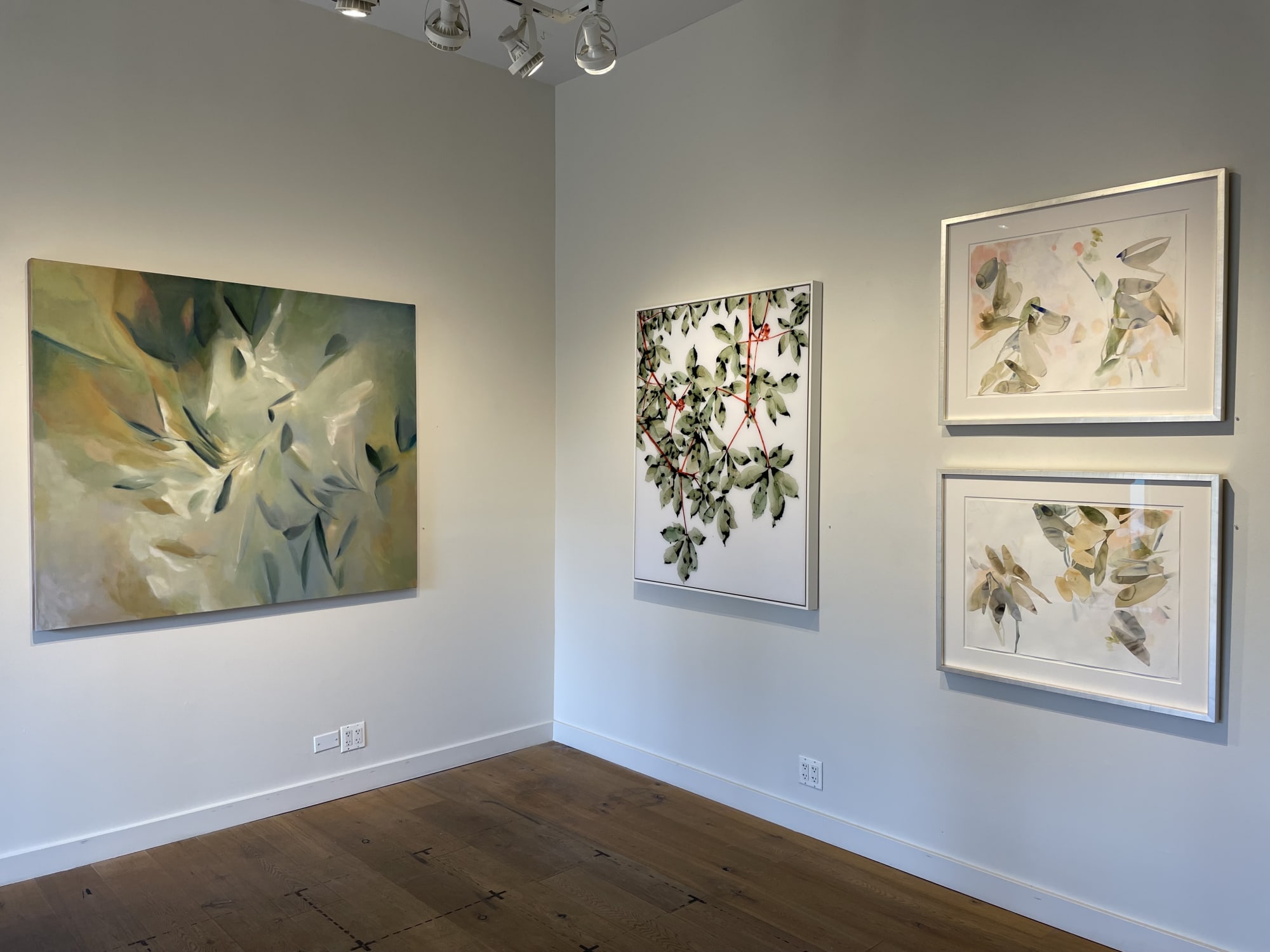 In Bloom: New Work by Jackie Battenfield and Elise Morris