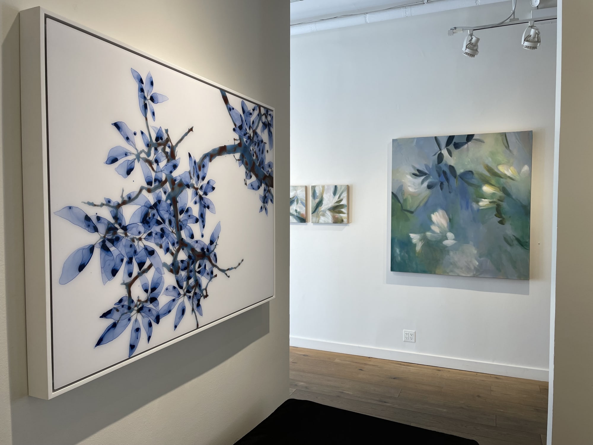 In Bloom: New Work by Jackie Battenfield and Elise Morris