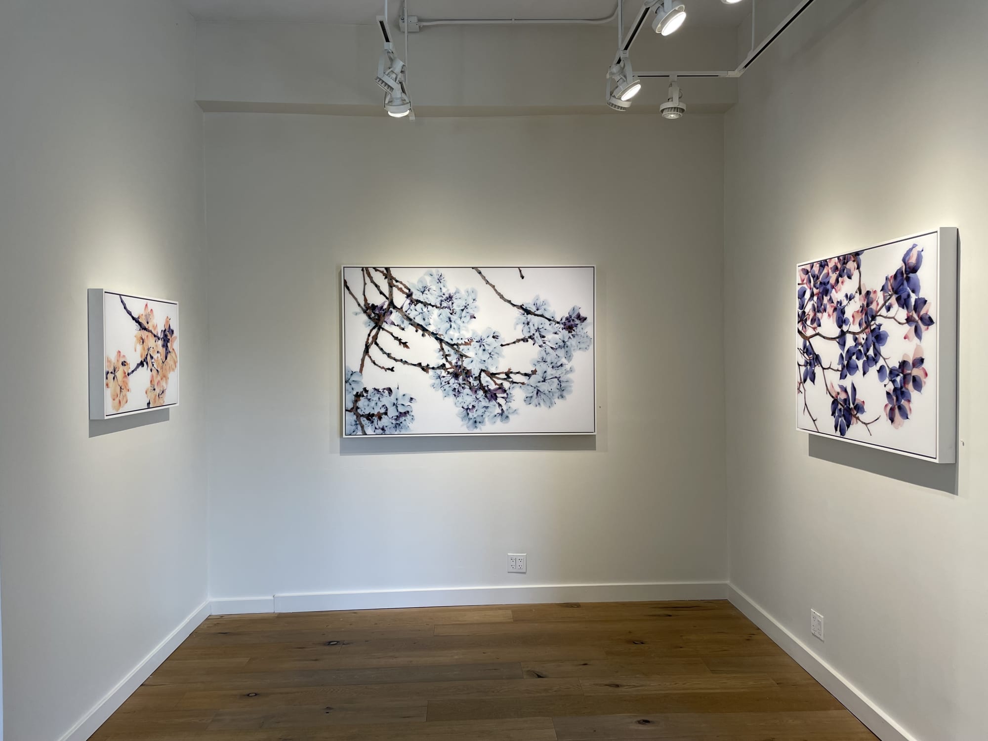 In Bloom: New Work by Jackie Battenfield and Elise Morris