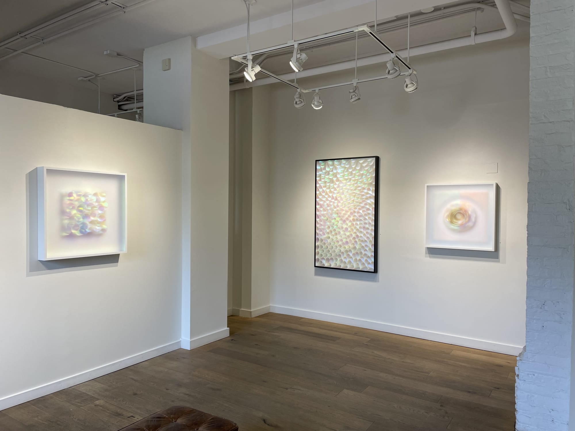 The Resilience of Hope: New Dimensional Works by Carrie Seid