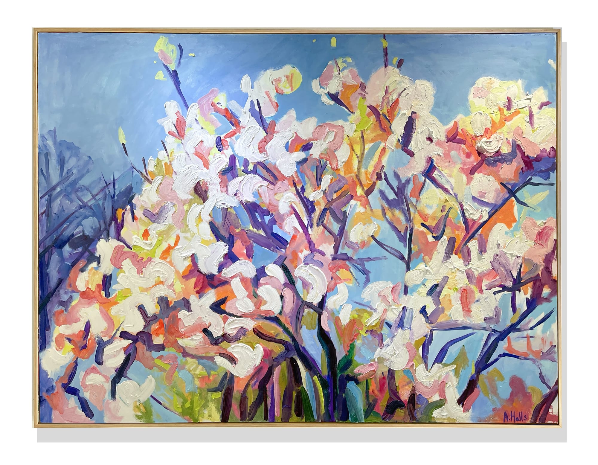 Adam Halls, Marshmallow, 2022