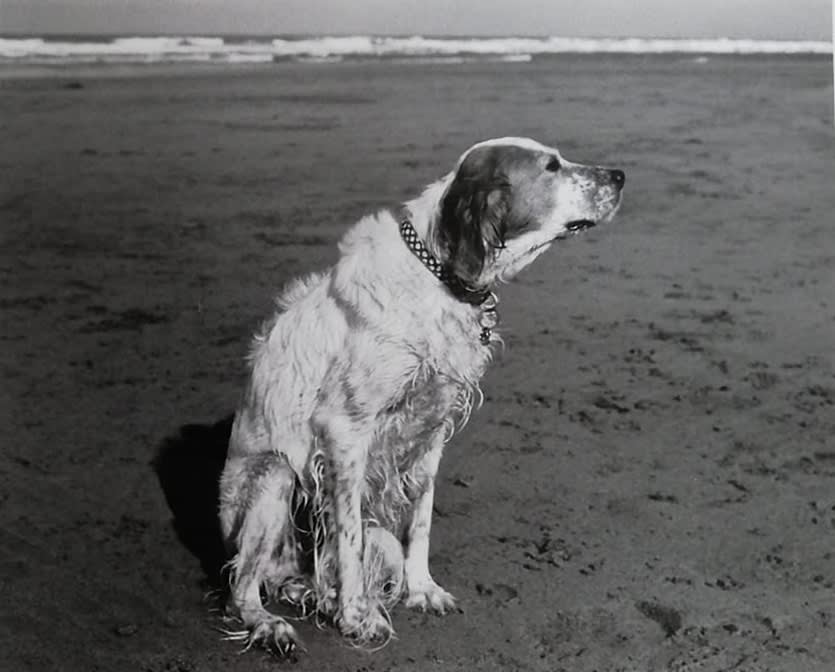 Caroline Marrack, Floa, Summerleaze, Bude , 2019