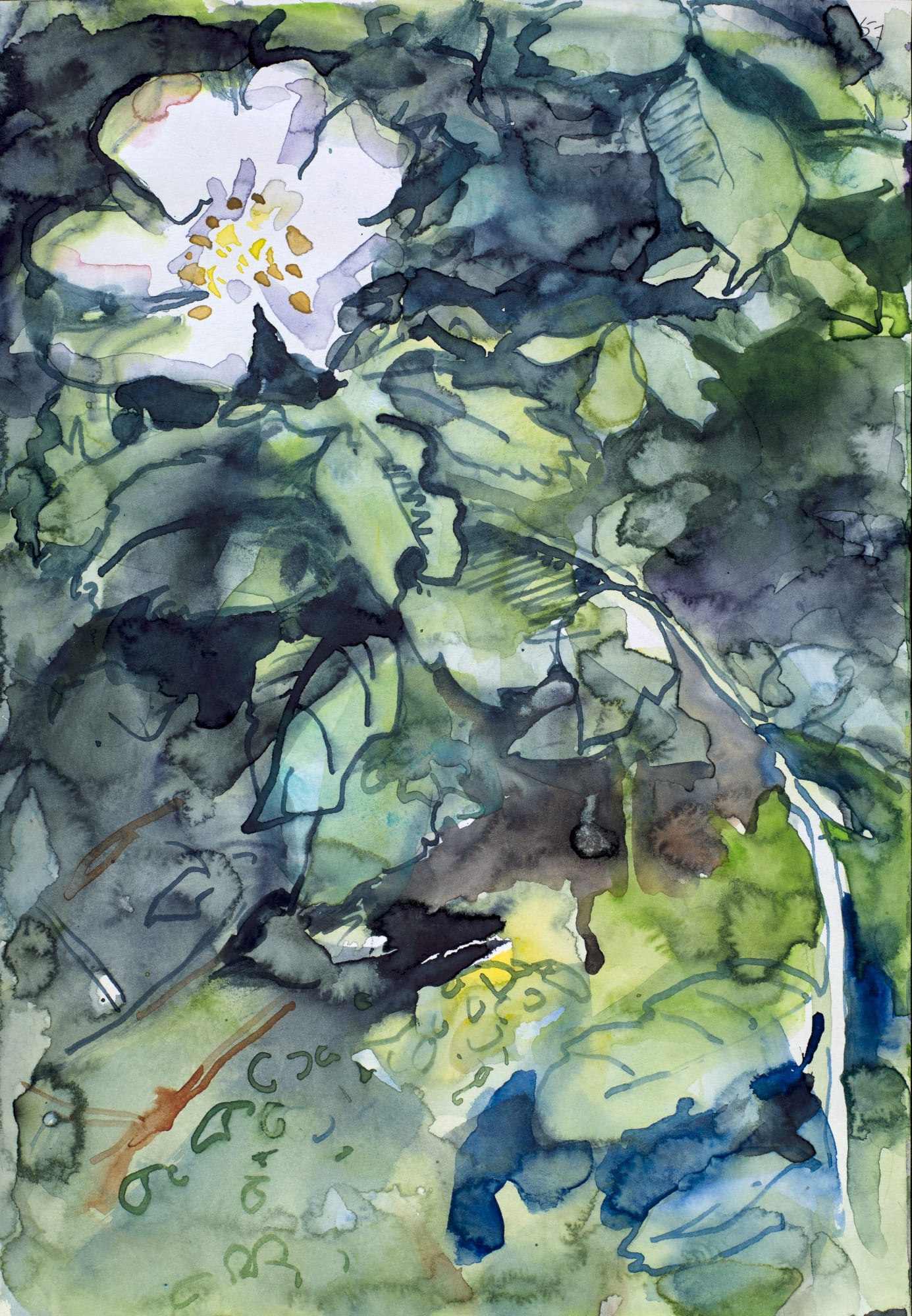 Tony Wilson, Visual Diaries #1, 2021