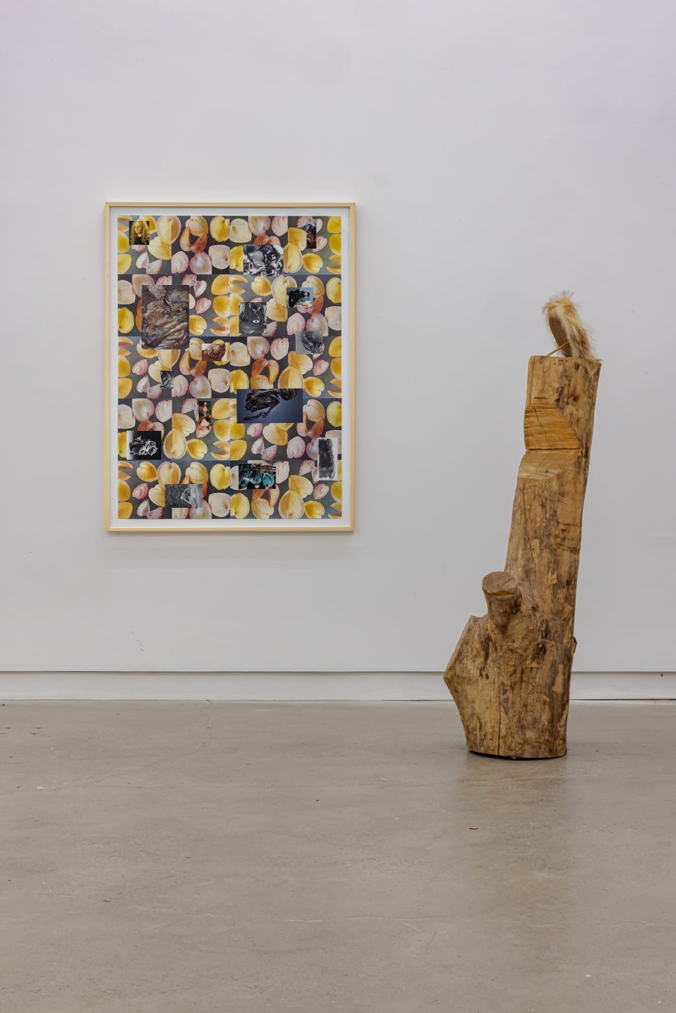 The Thawing Of The Great Bear