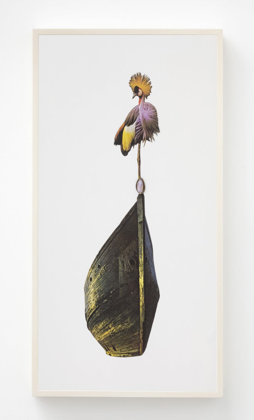 In The Shadow Of Sirius