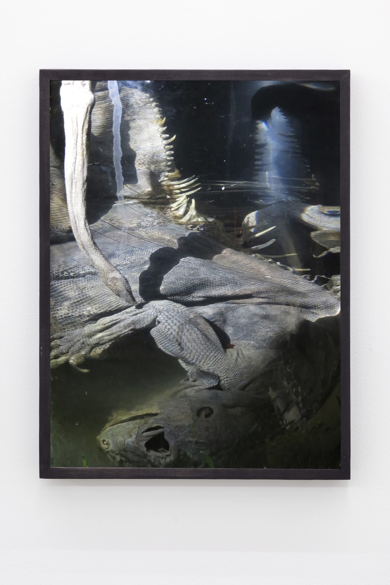 ETH YRTANNRY FO ISTDANCE