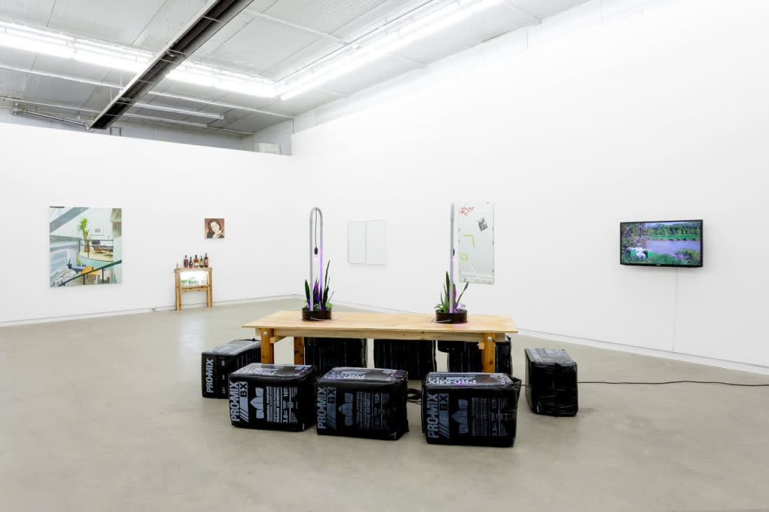 The Agency Of Acquaintances