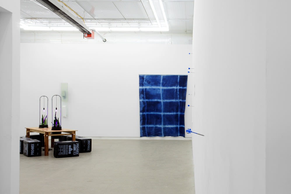 The Agency Of Acquaintances