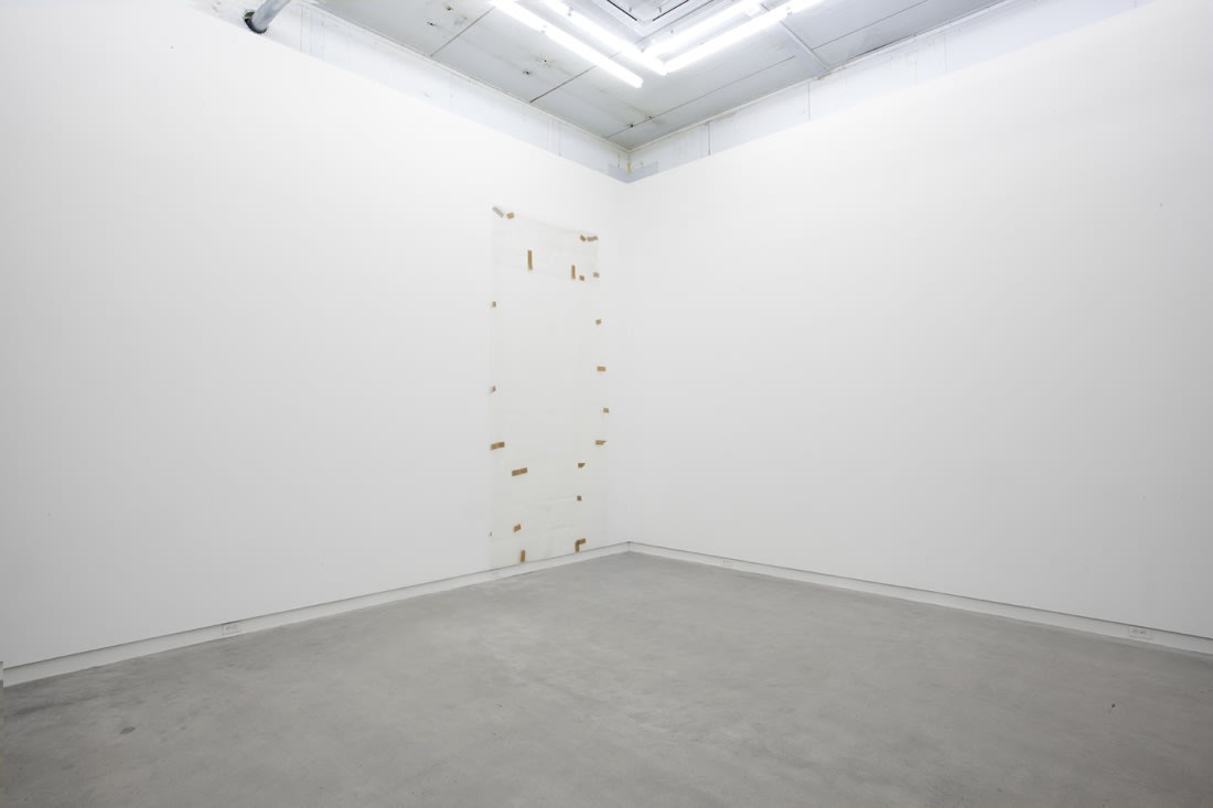 First The Pleasure, Then The Thesis