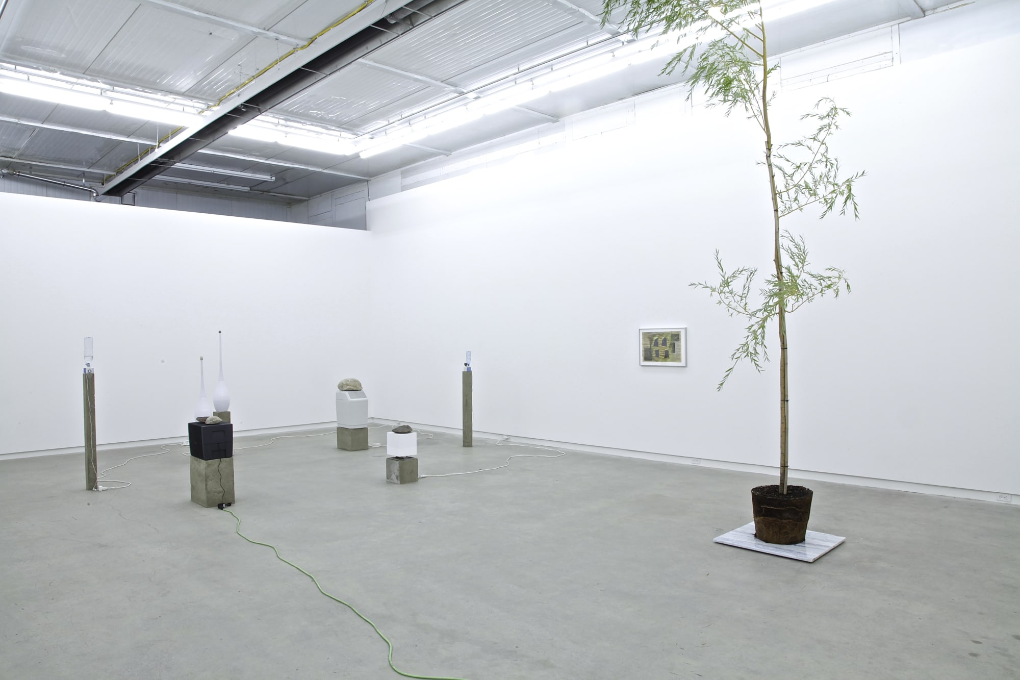 Free And Easy Wanderer