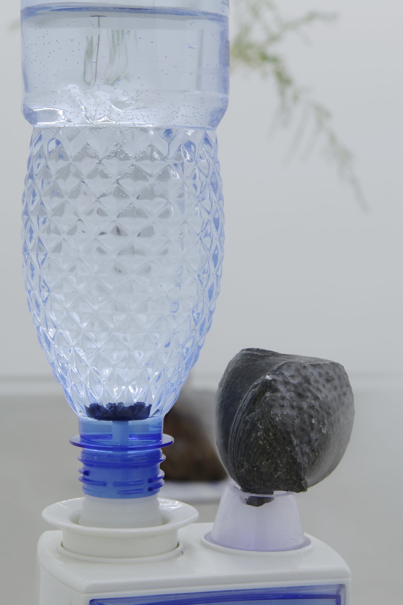 Free And Easy Wanderer