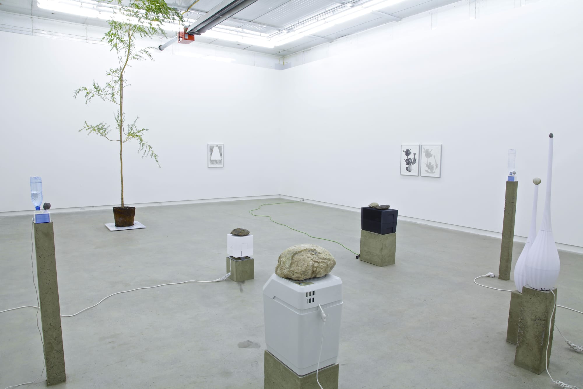 Free And Easy Wanderer