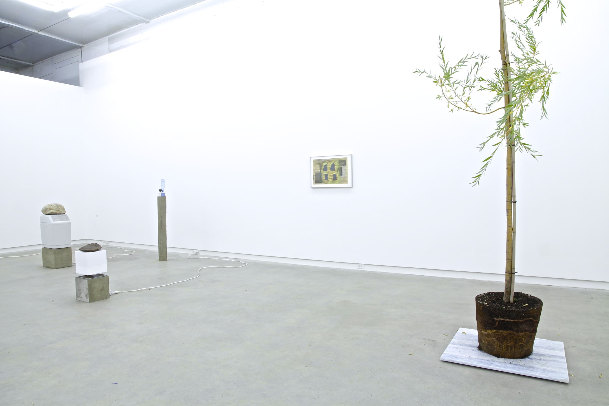 Free And Easy Wanderer