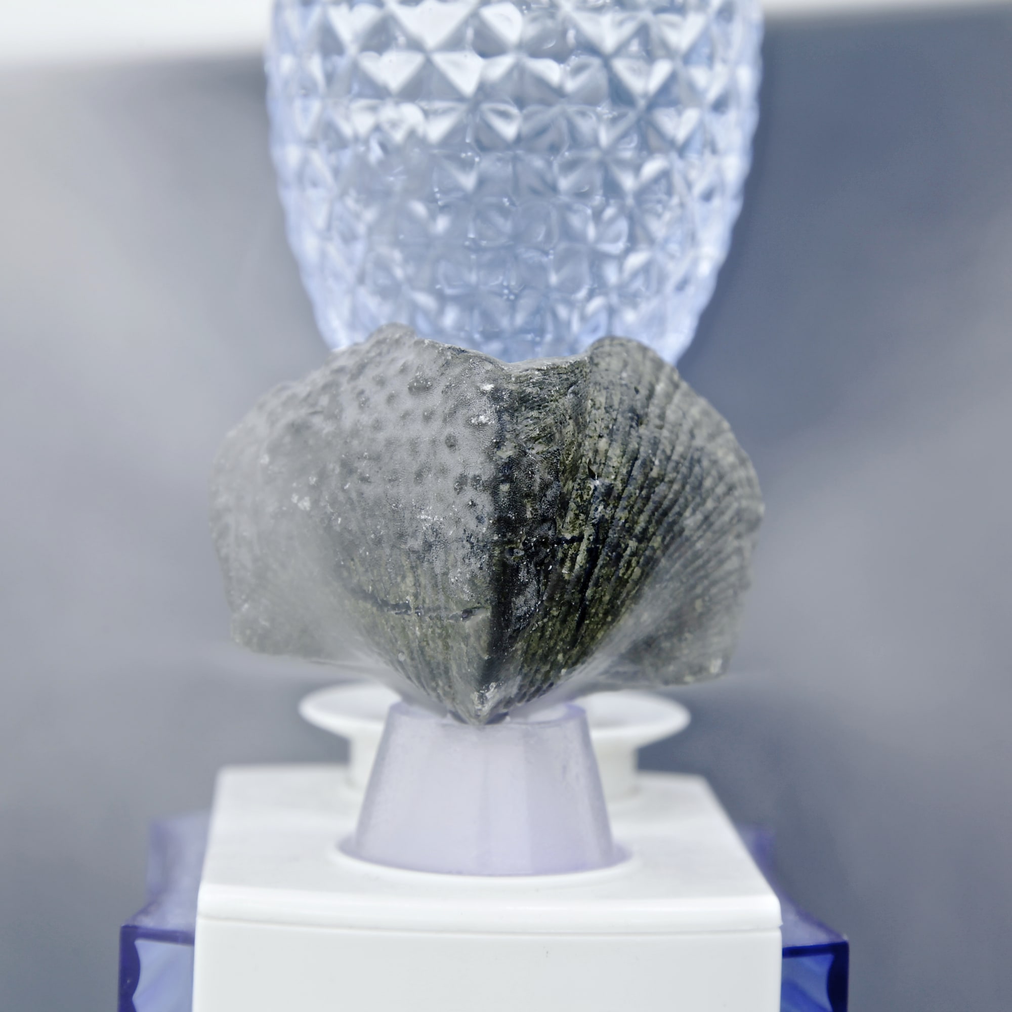 Free And Easy Wanderer