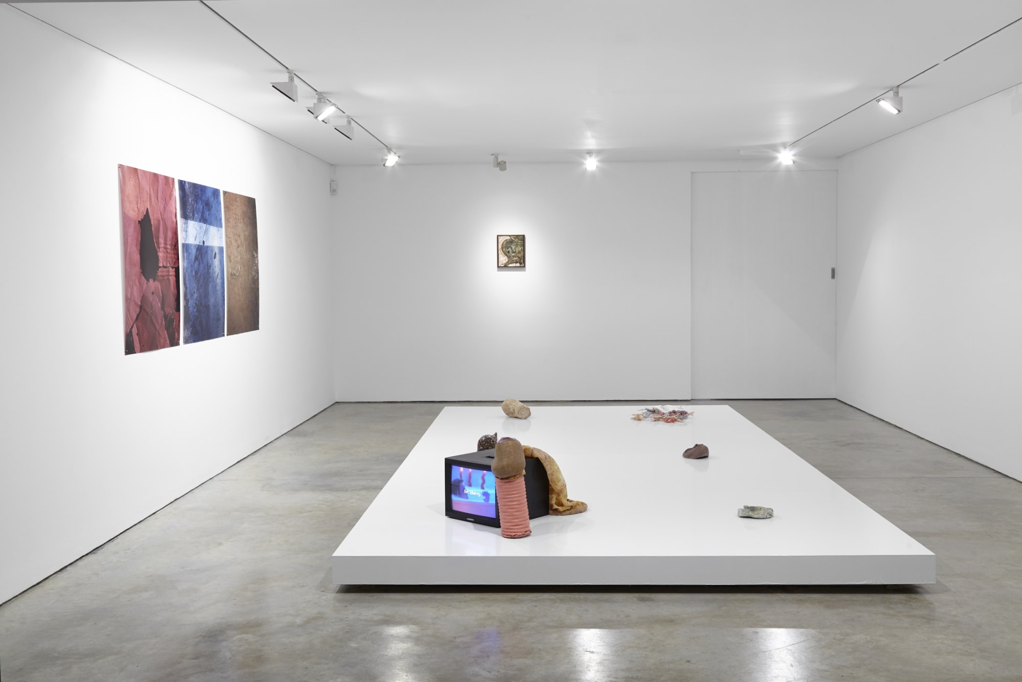 The Belly And The Members