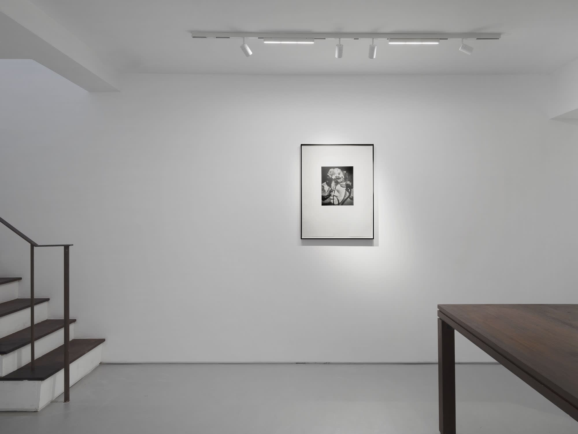 In Tandem, 2025, Cob Gallery, London, UK