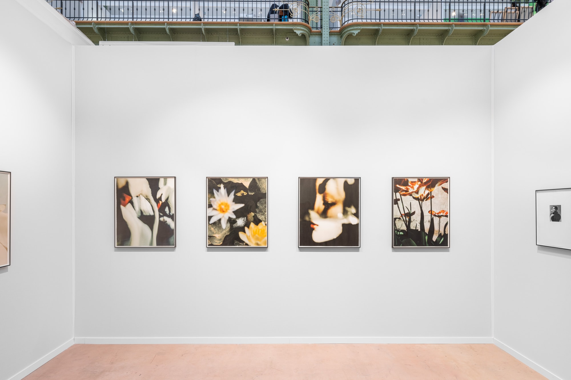 Paris Photo (solo booth), 2024, Cob Gallery, Paris, France