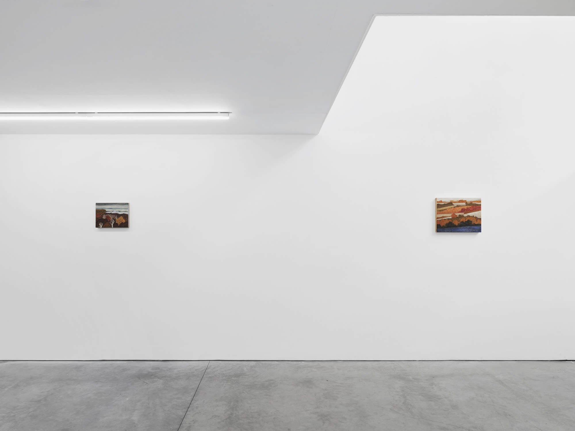 The Hands That Comb The Hills