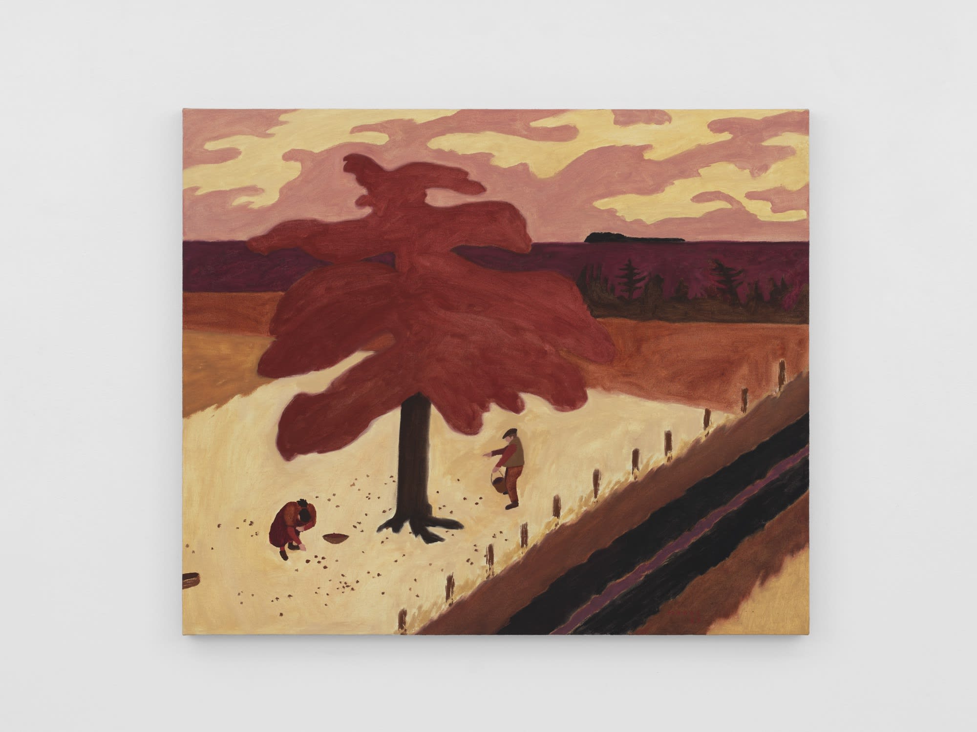 James Morse The Humming Couple, 2023 Oil on linen 81.3 x 96.5 cm