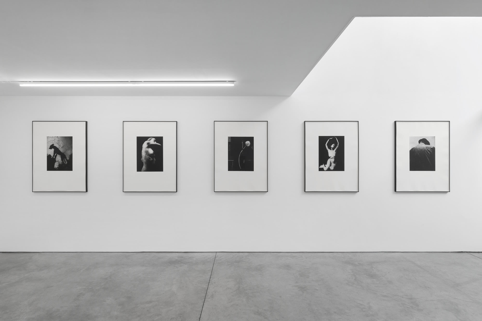 Photographic Etchings
