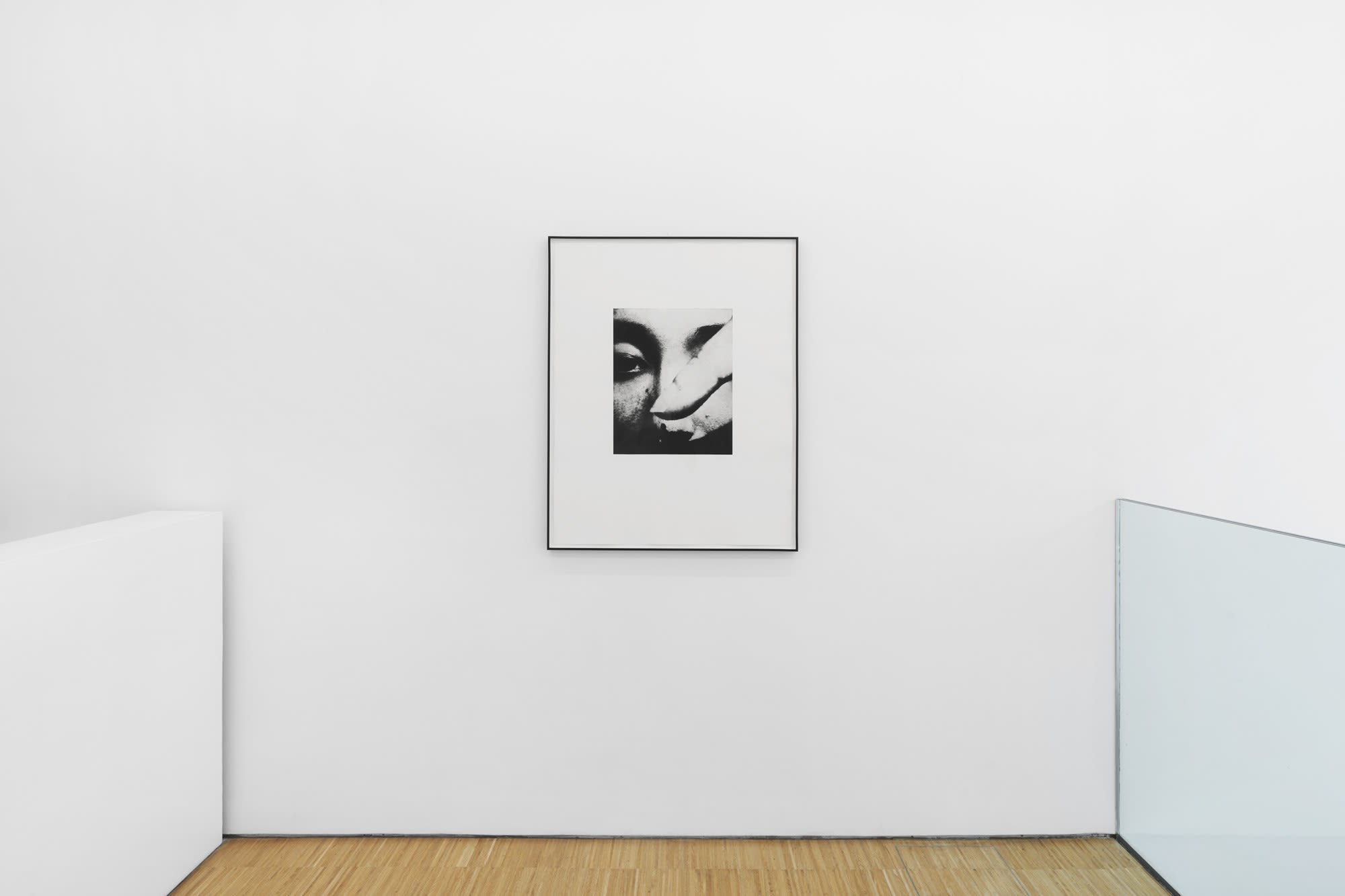 Photographic Etchings