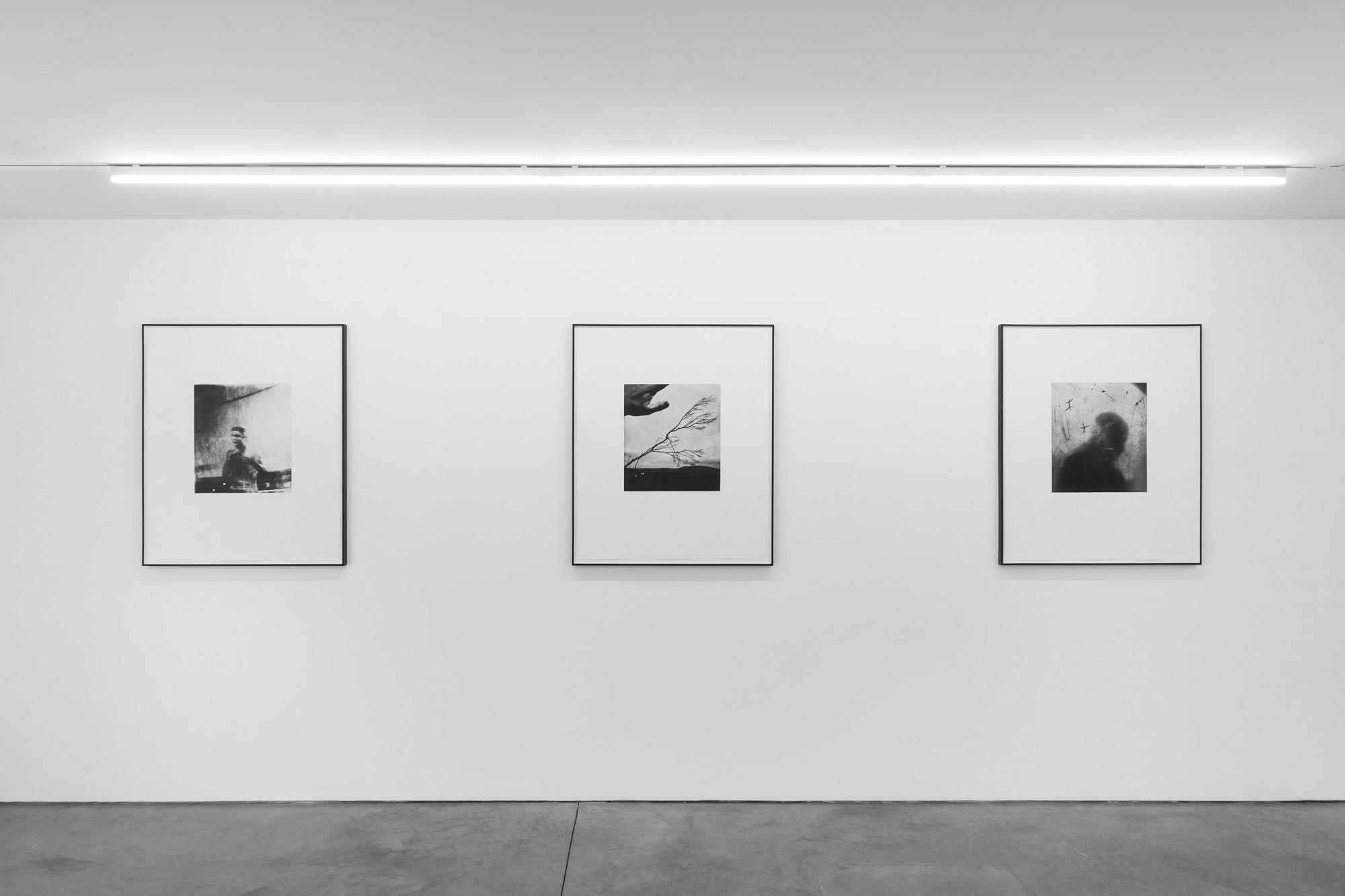 Photographic Etchings