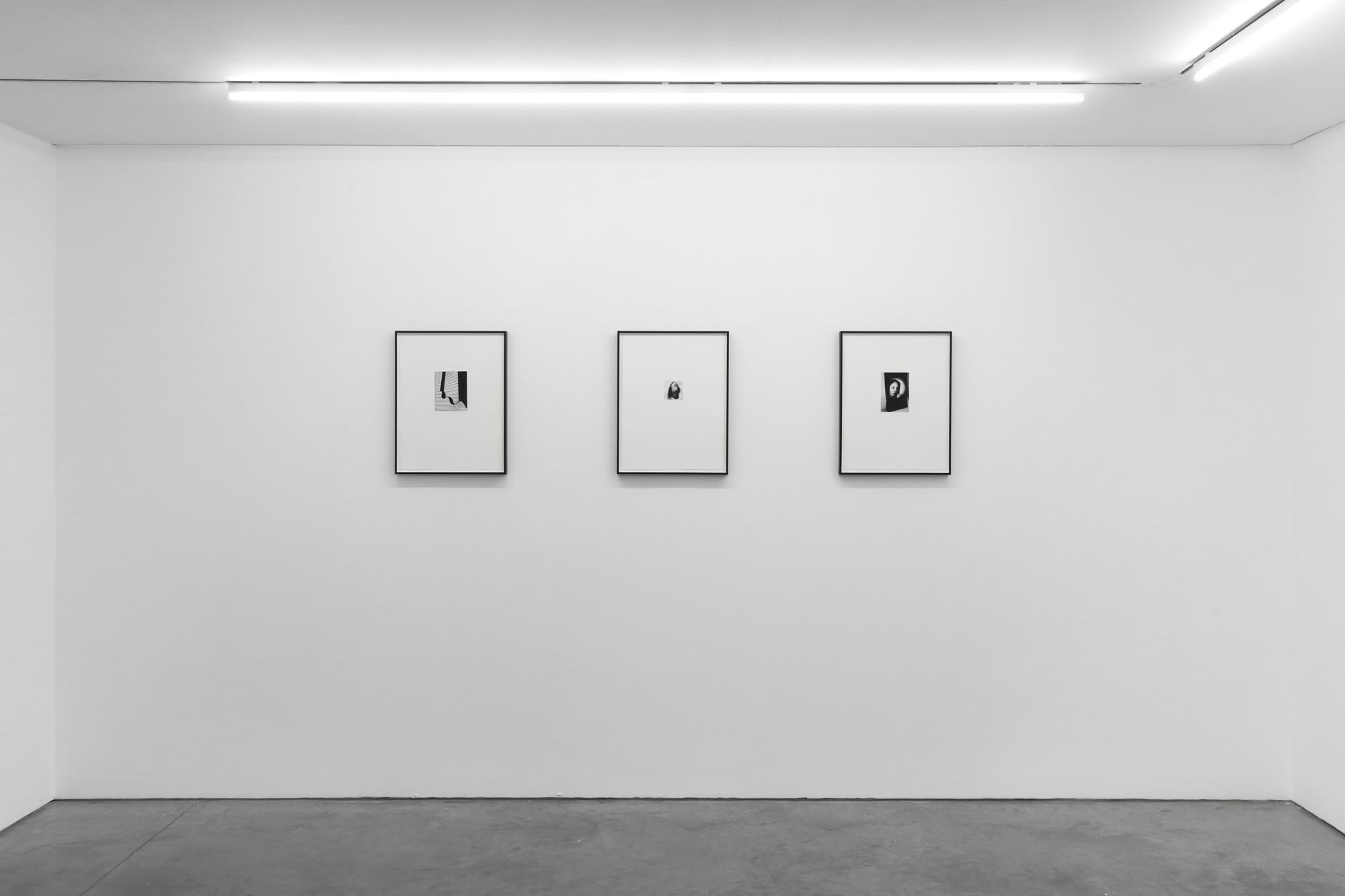 Photographic Etchings