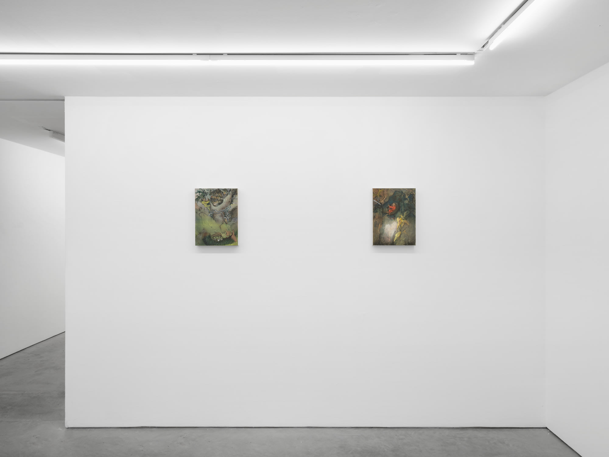 Searching the Mountains, 2024, Cob Gallery, London, UK