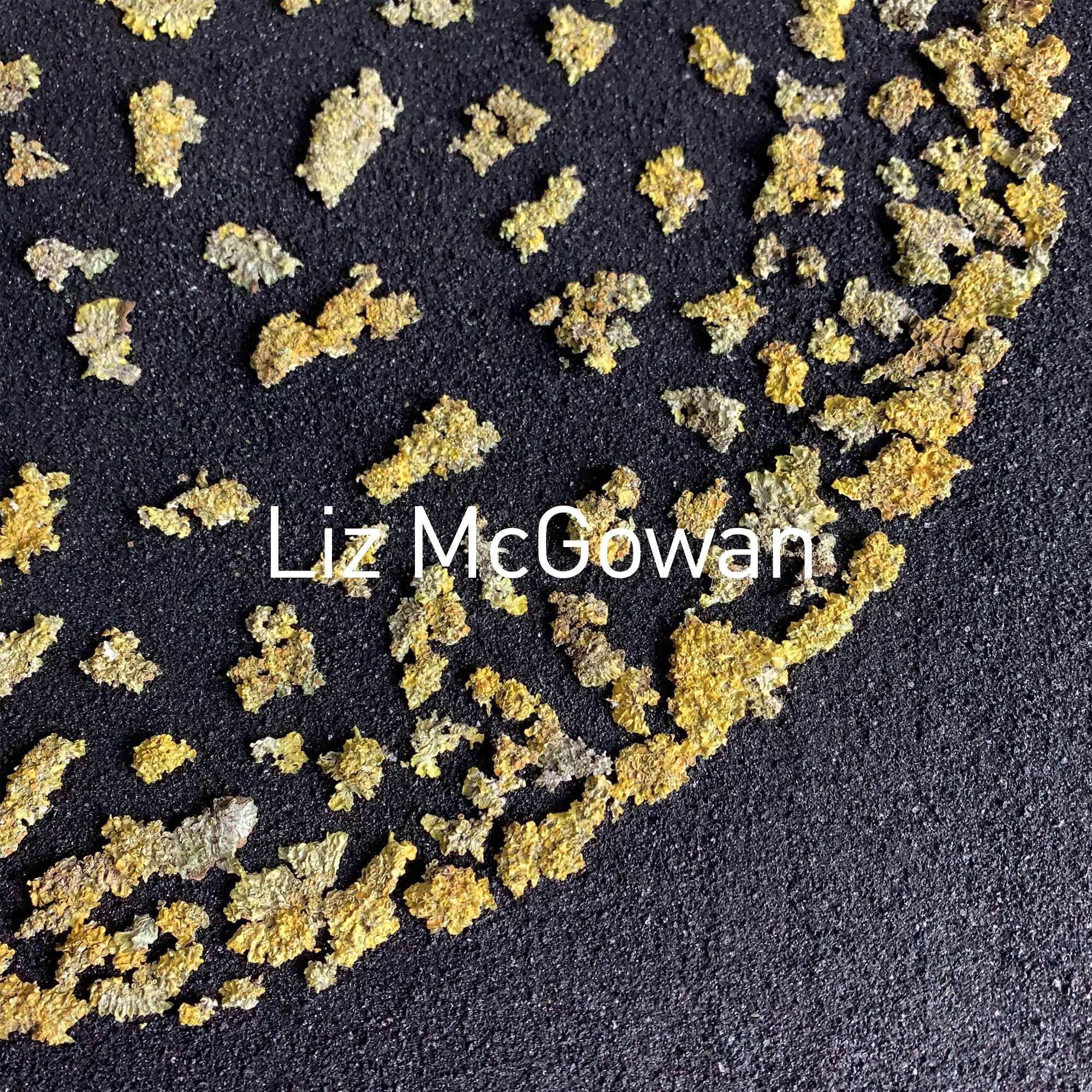 ENVIRONMENTAL ARTIST