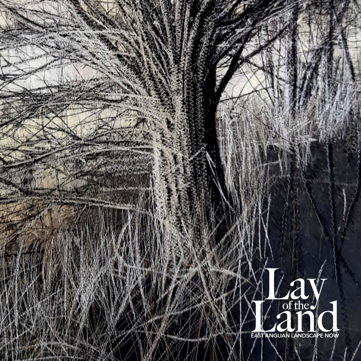 HELEN DERBYSHIRE (TEXTILE ART)