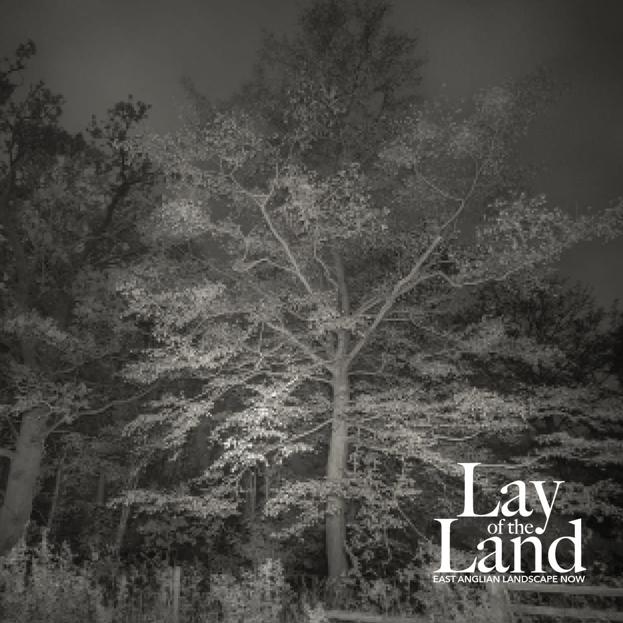 BILL JACKSON (PHOTOGRAPHIC ART)